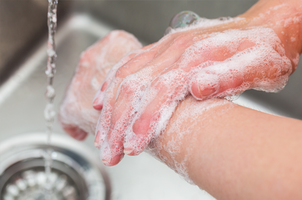 Wash hands before handling food