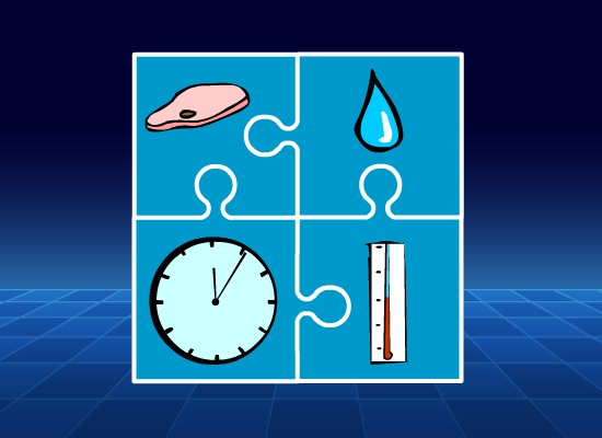 Food Poisoning | Conditions for Bacteria